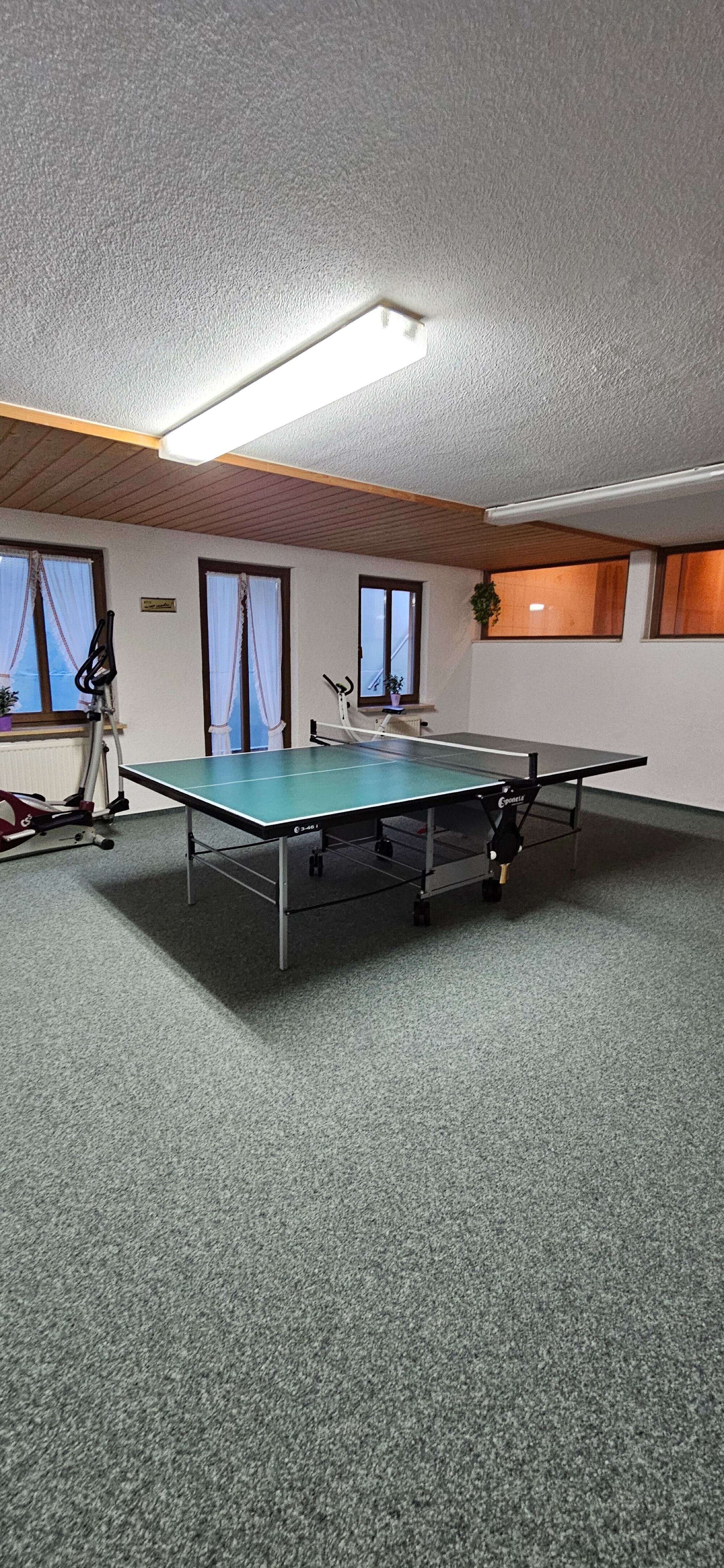 Tischtennisplatte und Fitnessgeräte
