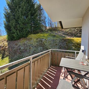 Balkon 1 zur Waldseite