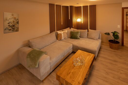 Couch Wohnzimmer