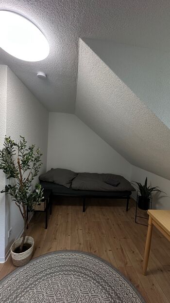 Ferienhaus in Dresden Bild 4