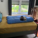 Nature. Silence. Sleep. Repeat. 26' HH Bild 1