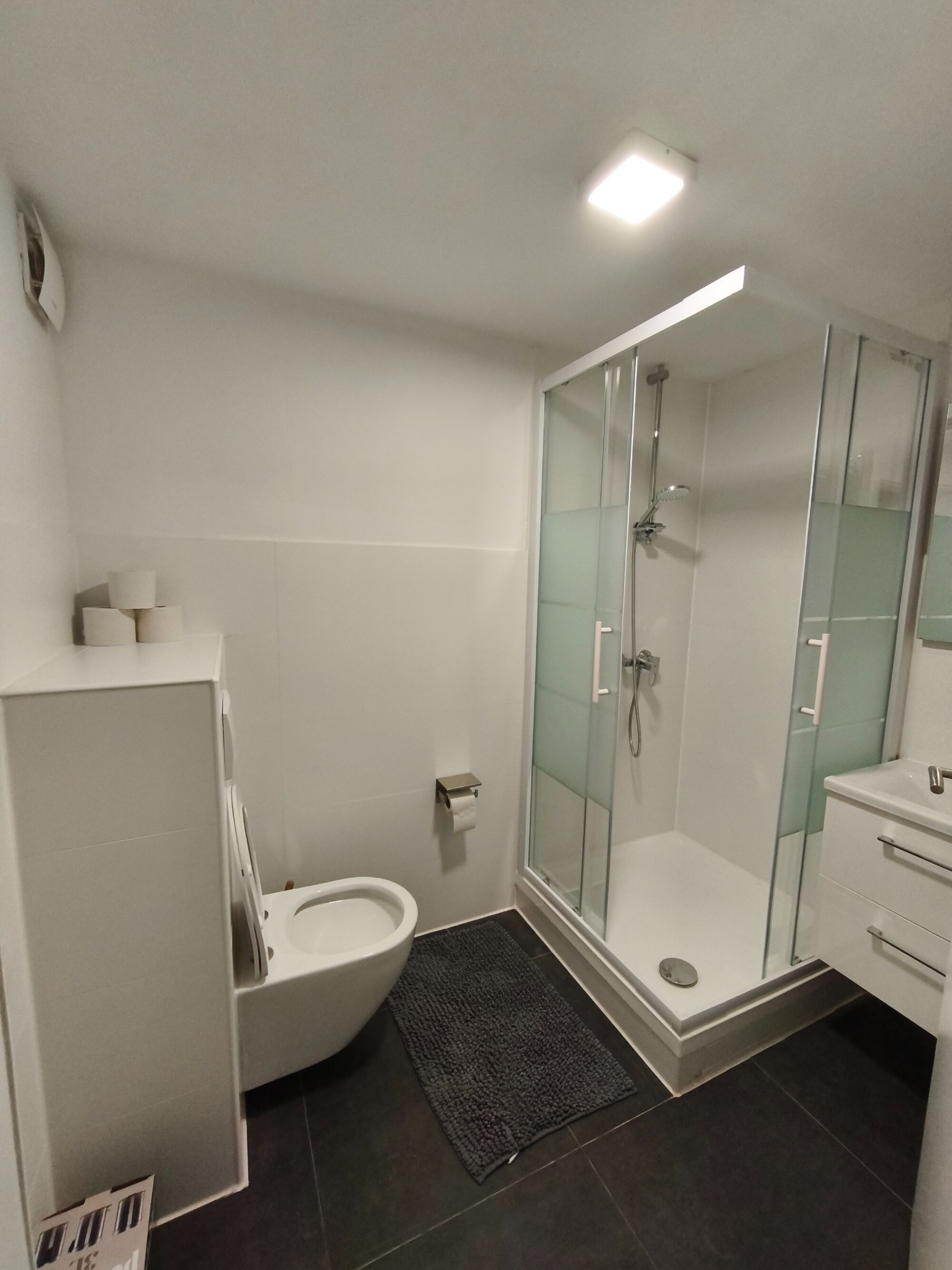 EG - Badezimmer mit Dusche und WC