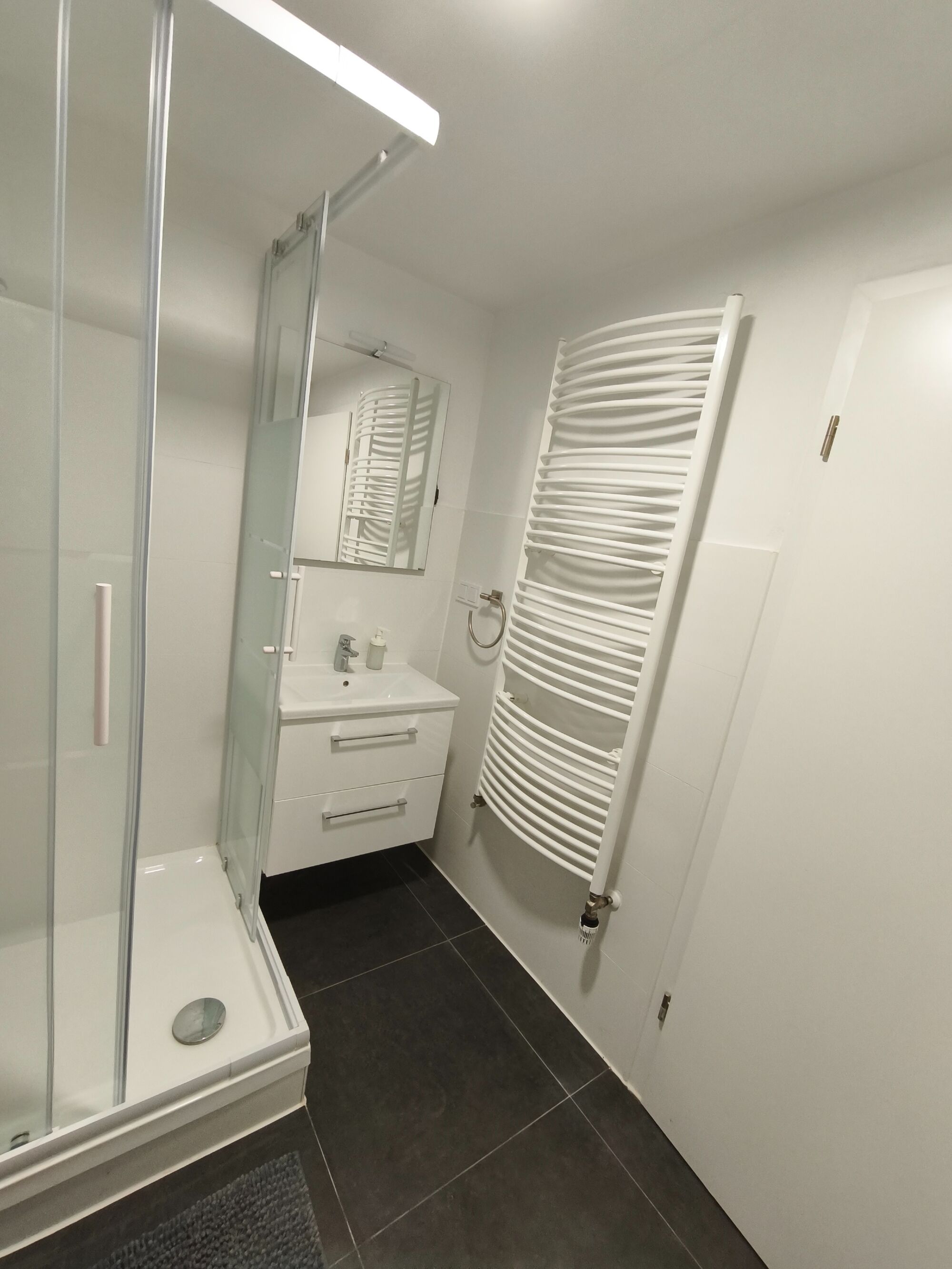 EG - Badezimmer mit Dusche und WC