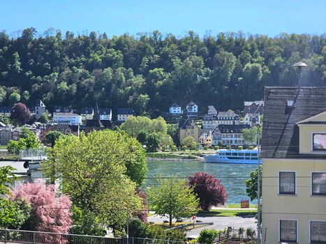 der Rhein
