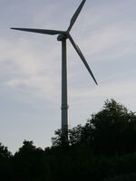 Ferienhaus-Boos Bild 14
