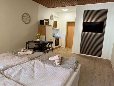 Apartment Mainz Doppelbett oder 2 Einzelbetten Bild 3