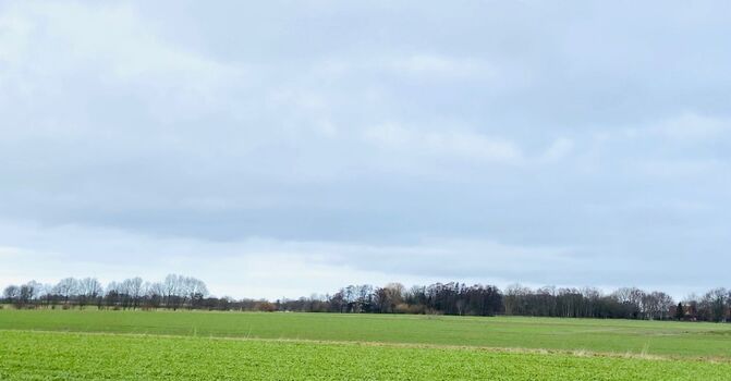 Aussicht Küchenfenster