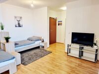 HomeRent in Mörfelden-Walldorf, Hattersheim & Umgebung Foto 11