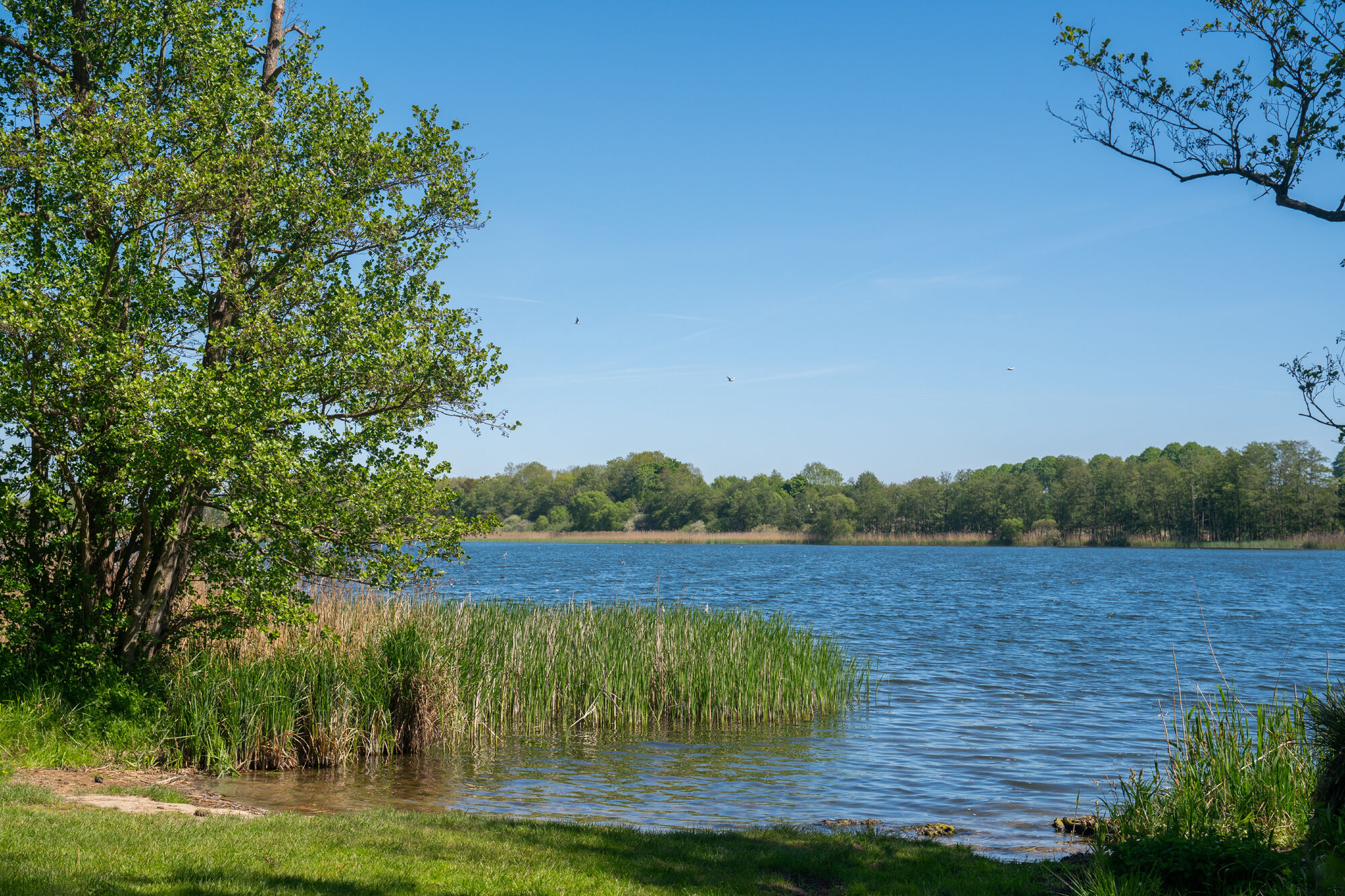 Am Wasser