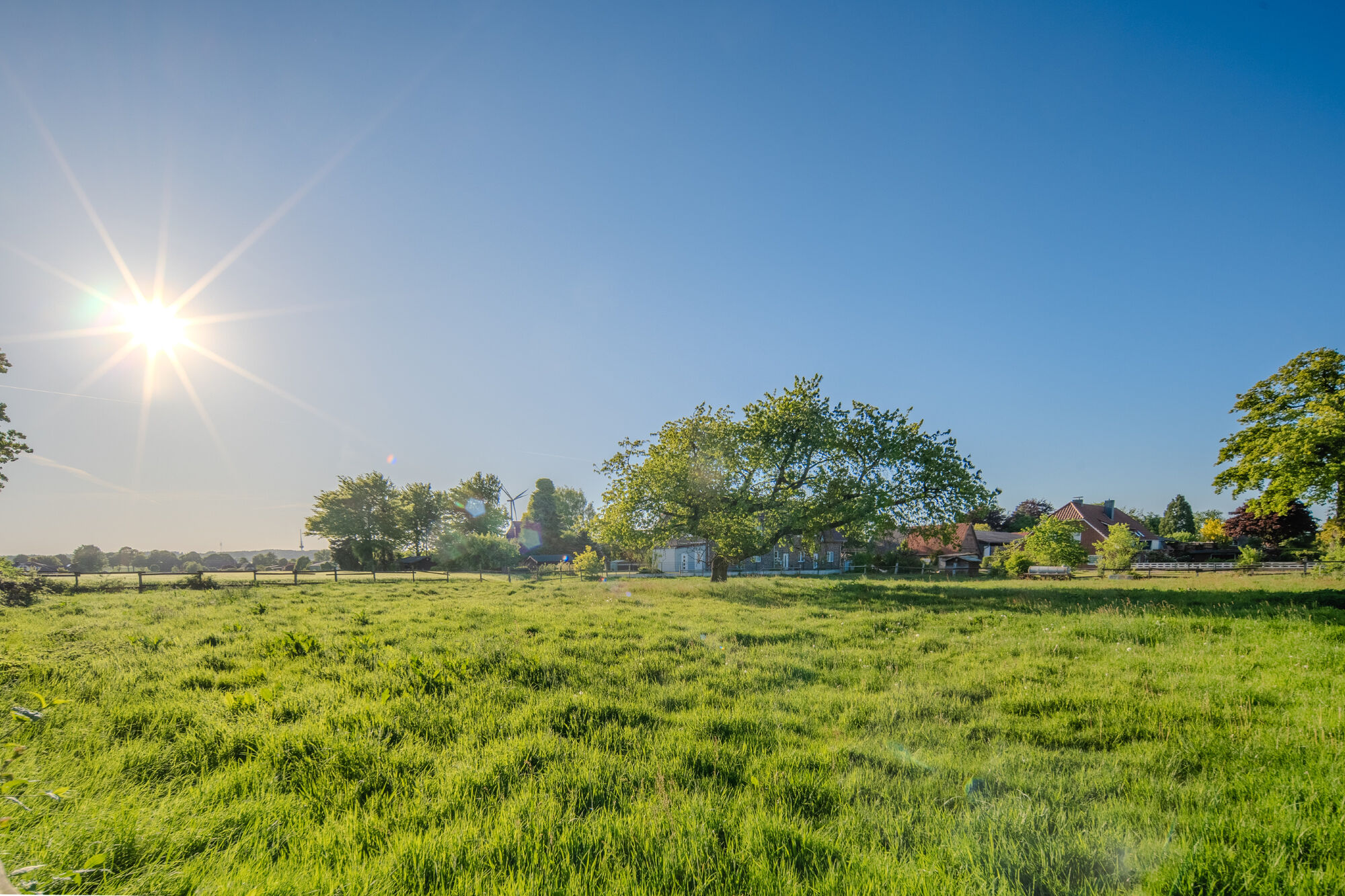 Natur in der Umgebung