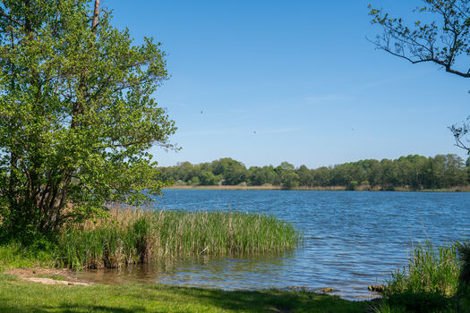 Am Wasser