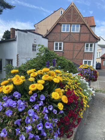 Ferienwohnung in Preetz Bild 1