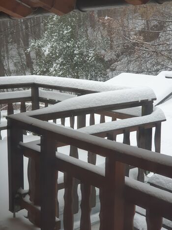 Wohnen in Wienerwald Bild 3