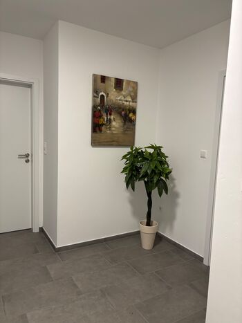 Apartment, Ferienwohnung 85 m² Bawinkel Bild 1