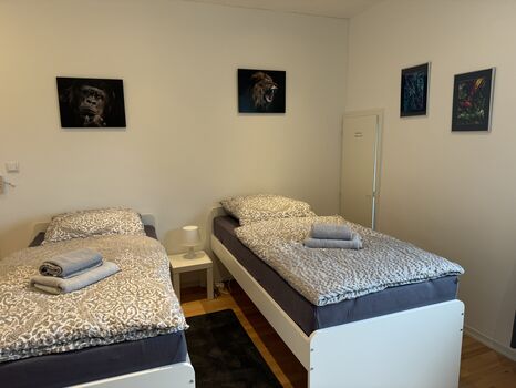 HomeRent in Düren und Umgebung Bild 2