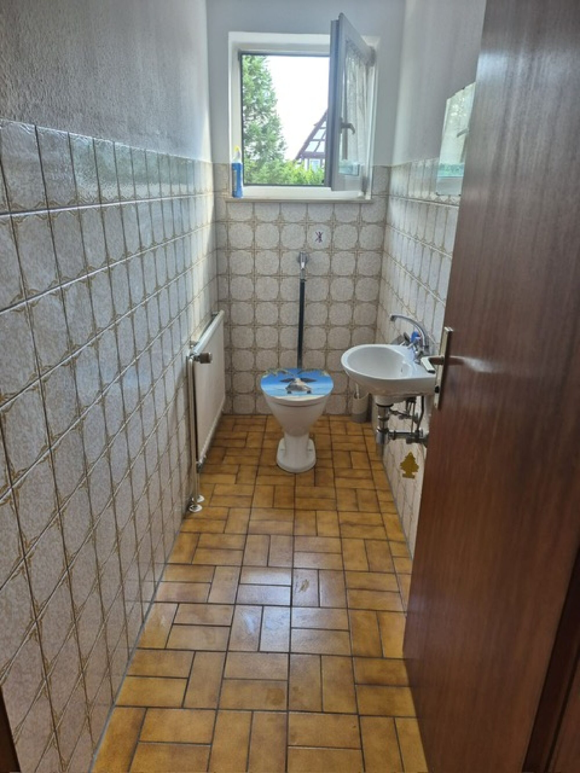 Picture 3