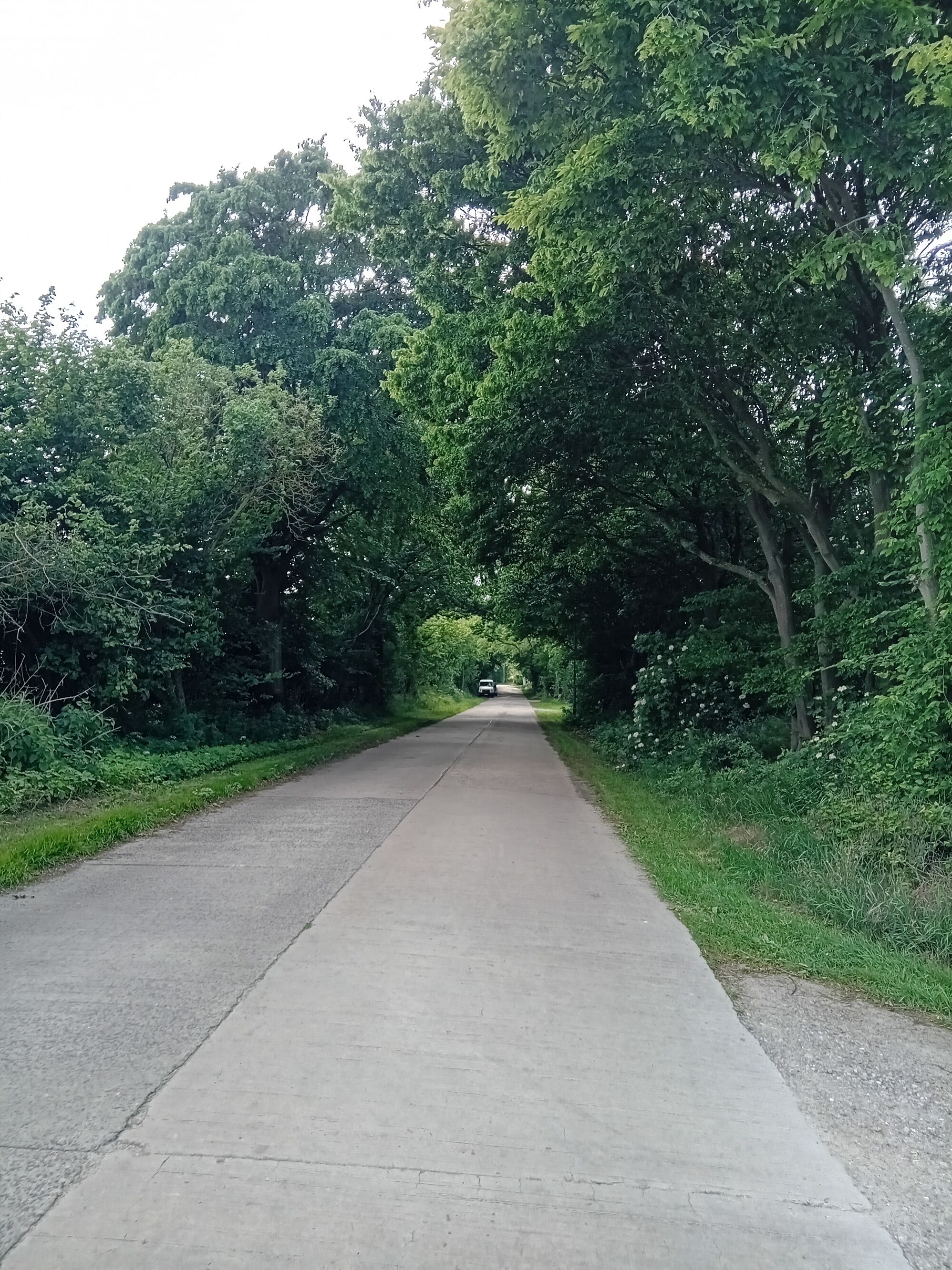 Zufahrsstraße