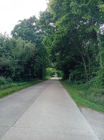 Zufahrsstraße