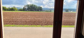 Blick aus dem Wohnungsfenster
