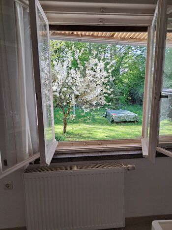 Gästezimmer gutbürgerlich Bild 2