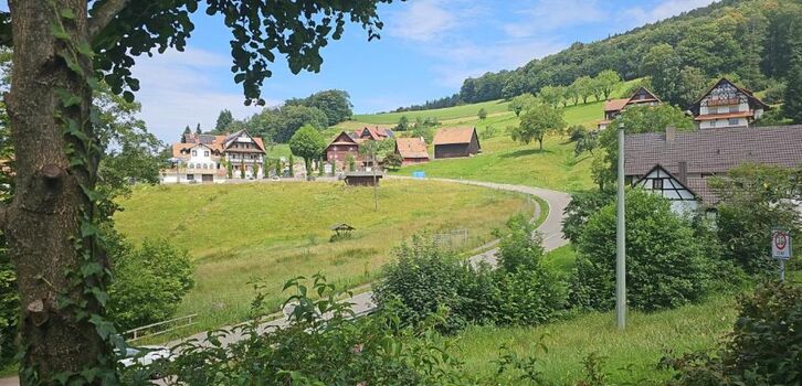 Ferienhaus in Sasbachwalden Bild 1