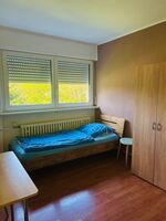 Holiday apartment in Lahr Picture 1