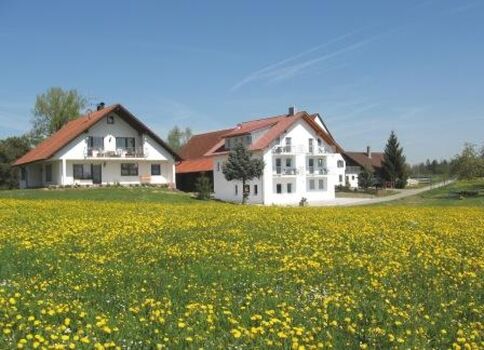 Ferienhof Amann - Friedrichshafen Bild 4