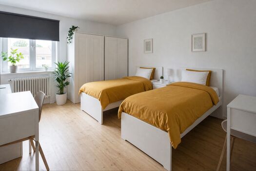 FL27 / TOMASZ-LIVING in SCHLESWIG - WLAN inklusive Bild 1