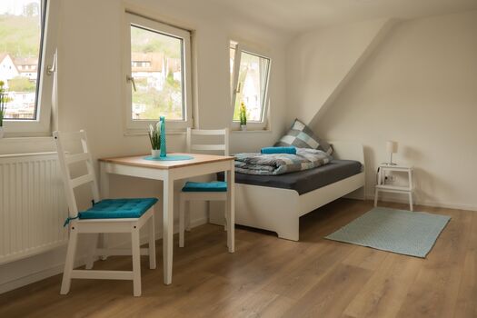 Gemütlich eingerichtetes möbliertes Großraumapartment Bild 1