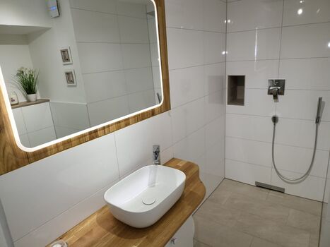 EG — Waschbecken und Dusche / Basin and shower
