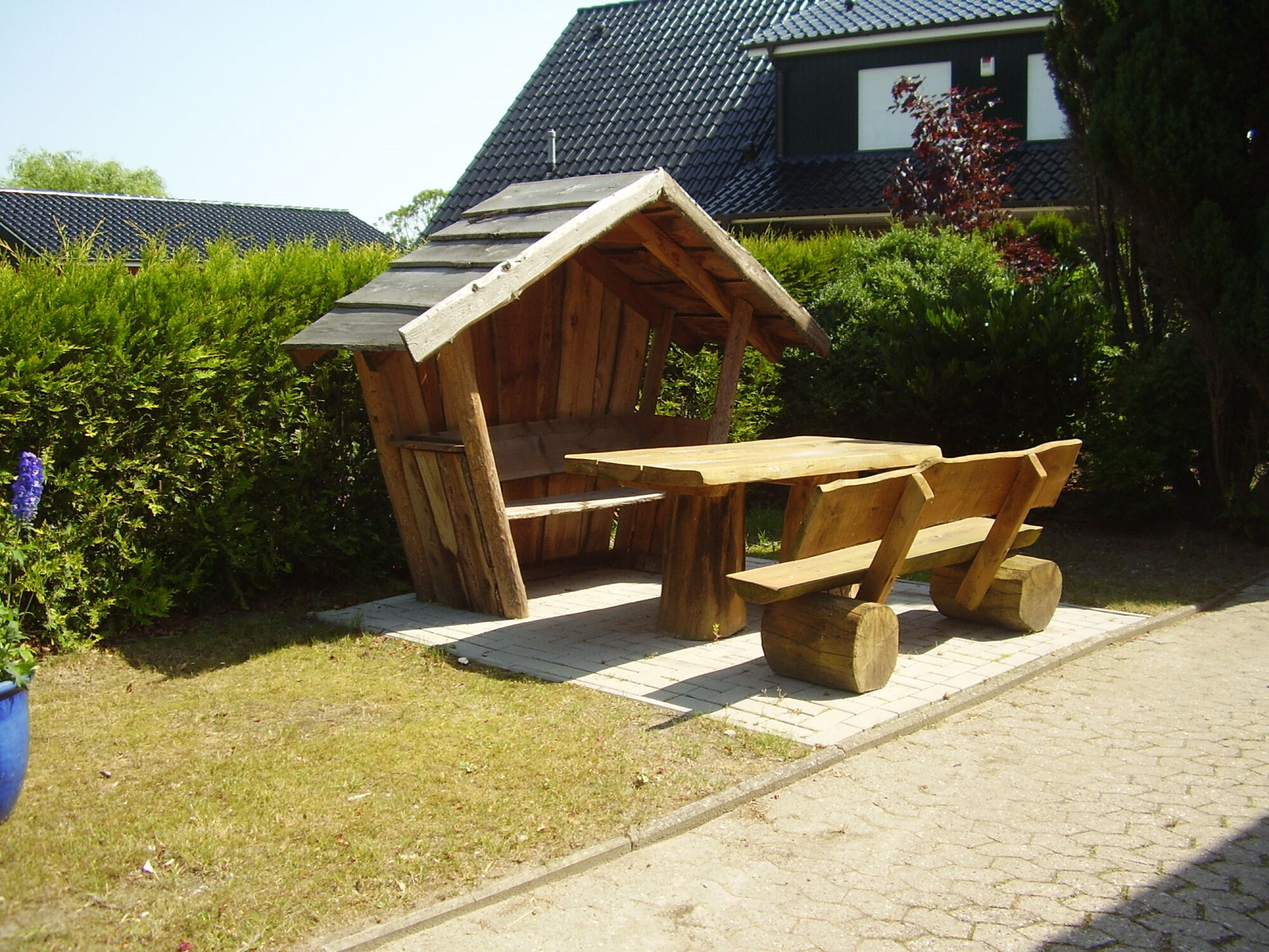 Picture 5