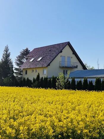 Pension Wilhelm