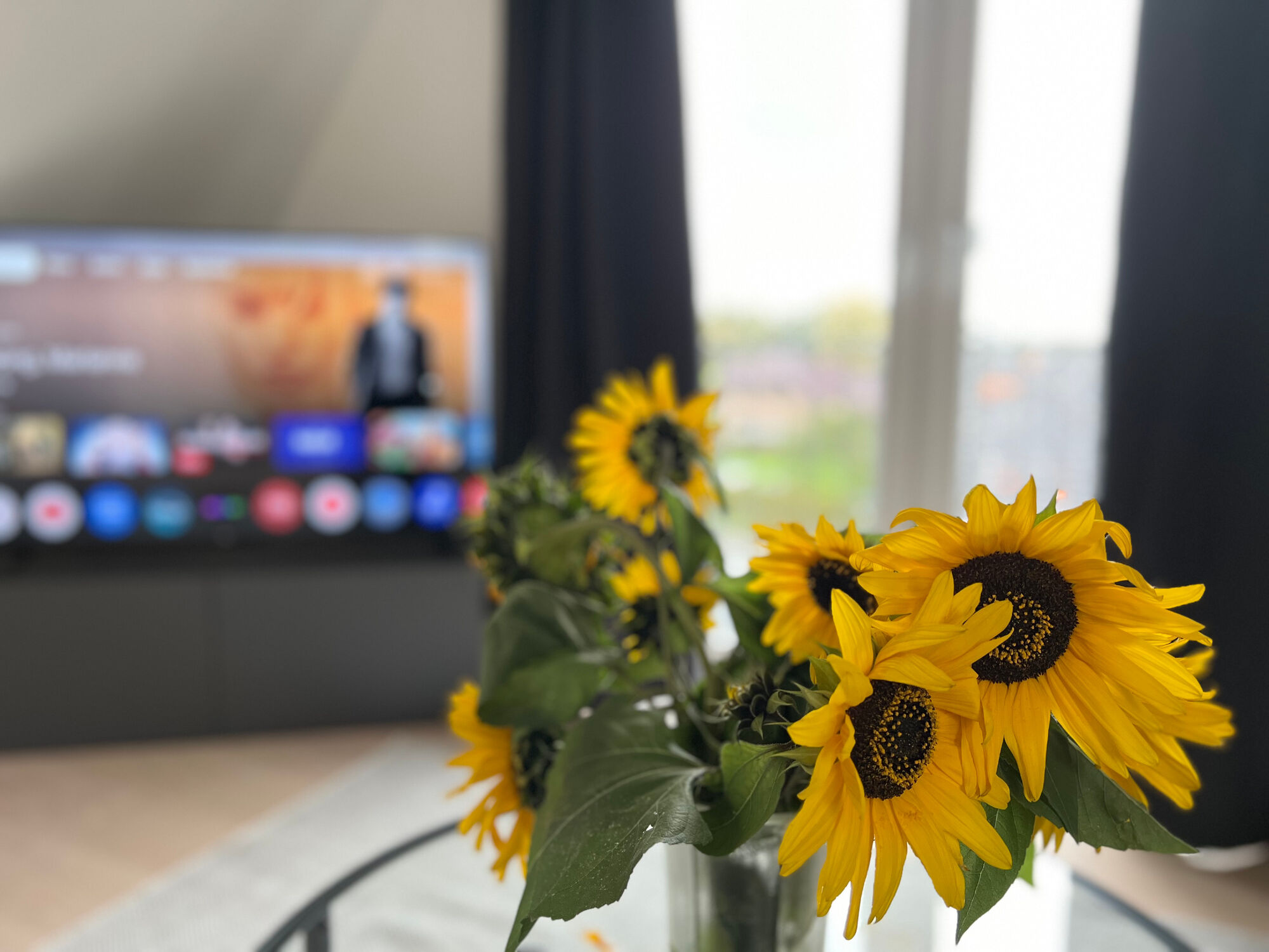 TV als Smart TV