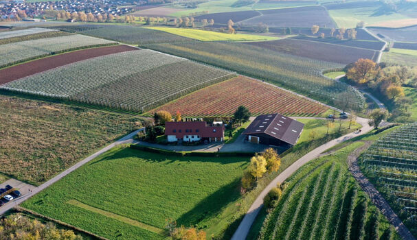 Ferienhof Rehn Picture 3
