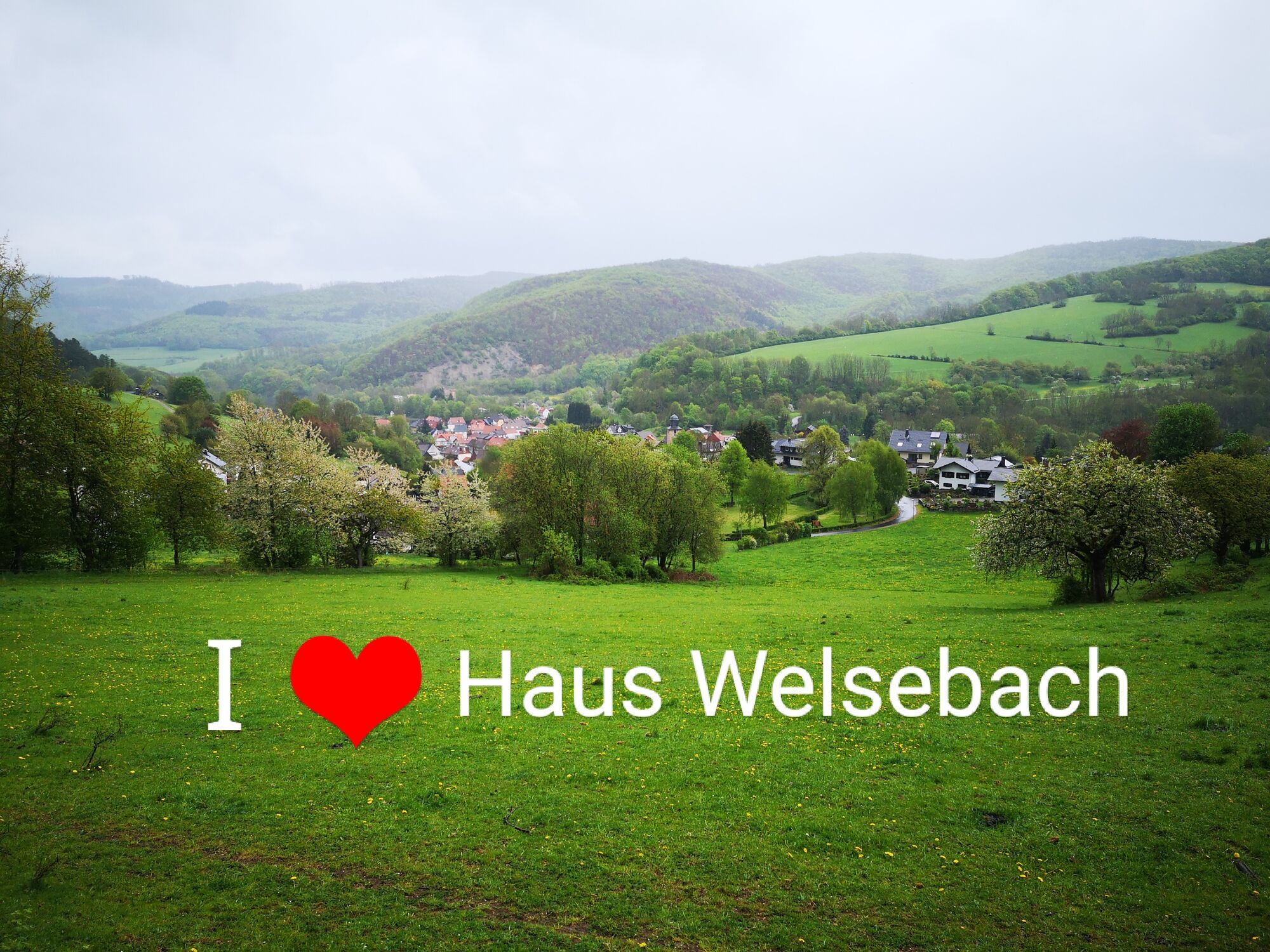 Idyllische Landschaft direkt bei unserer Unterkunft