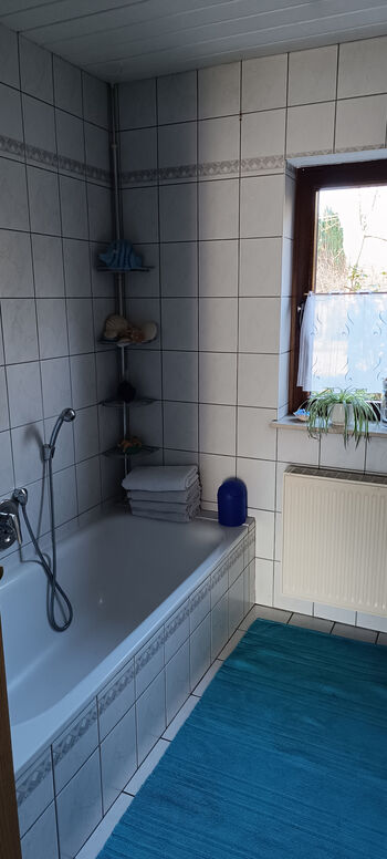 Bad Bild 2