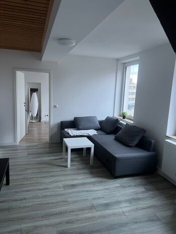 Zentrale Wohnung Krefeld Bild 2