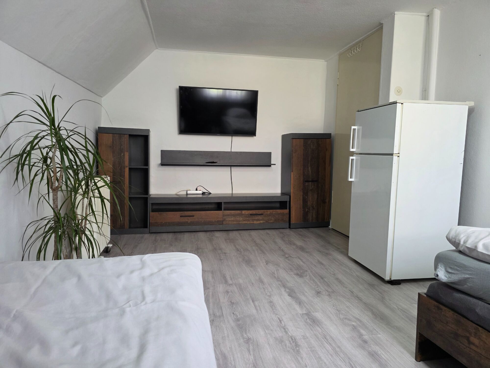 Zimmer-2