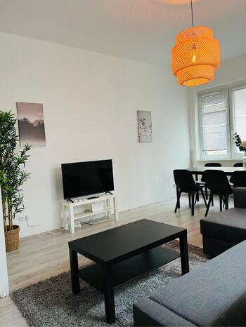 Holiday apartment in Frankfurt am Main Picture 3