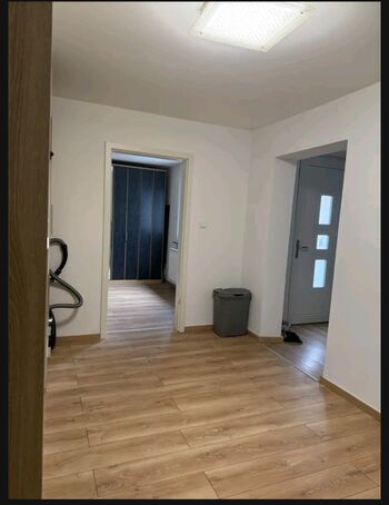 Wohnung/Ferienwohnung Südliche Weinstraße Picture 2