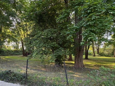 Ferienwohnung in Bremen Bild 2