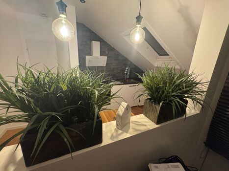 Ferienwohnung in Andernach Bild 4