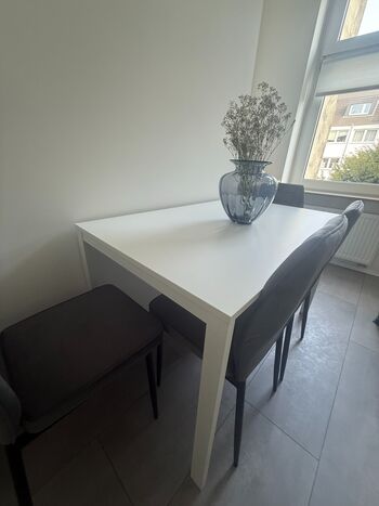 neu renovierte wohnungen / bei bedarf auch das ganzes haus mit garten Bild 5