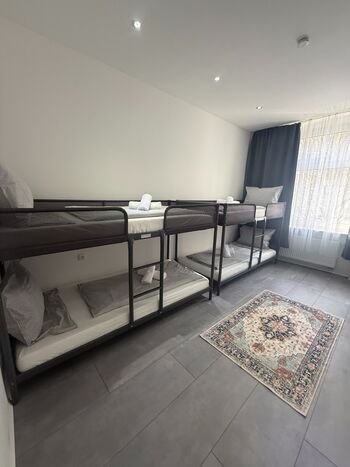 neu renovierte wohnungen / bei bedarf auch das ganzes haus mit garten Bild 4