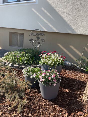 Wohnung Seefried