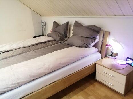 Alex- Wohnraum Vermietung Bild 1