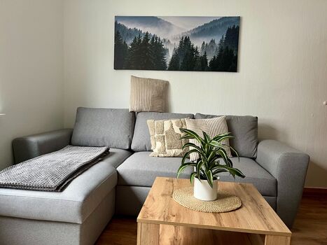 Gemütliche Couch mit Schlafsofa