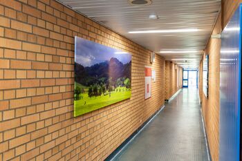 Hotel Euro Inn Bild 3