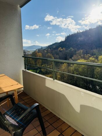 Holiday apartment in Lahr/Schwarzwald Picture 2