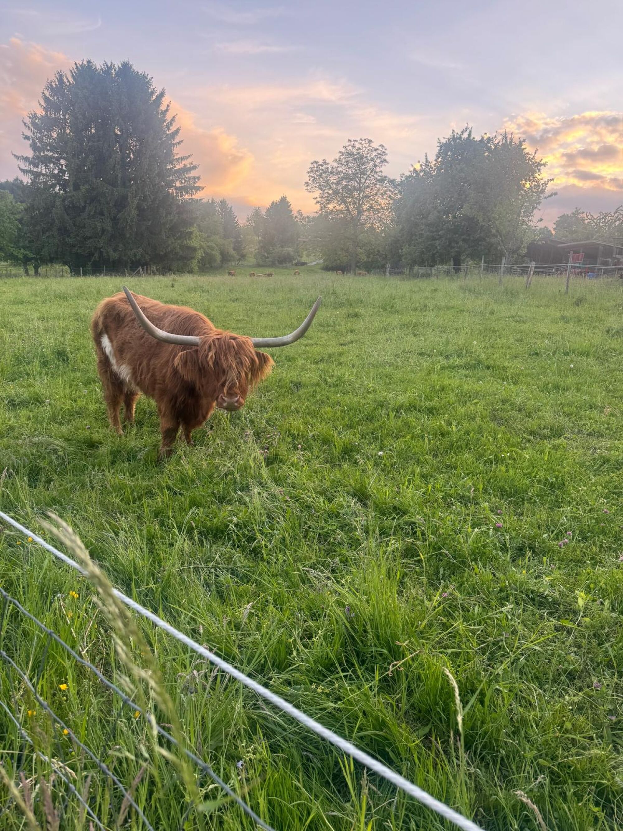 Naturnahes Wohnen in Gaiberg